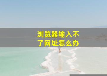 浏览器输入不了网址怎么办