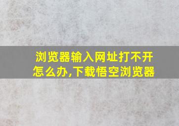 浏览器输入网址打不开怎么办,下载悟空浏览器