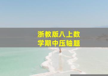 浙教版八上数学期中压轴题