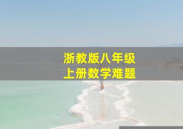 浙教版八年级上册数学难题