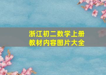 浙江初二数学上册教材内容图片大全