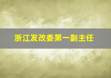 浙江发改委第一副主任