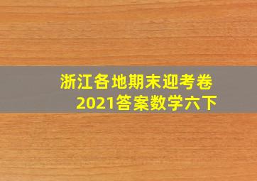 浙江各地期末迎考卷2021答案数学六下