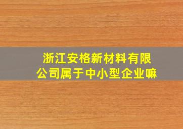 浙江安格新材料有限公司属于中小型企业嘛