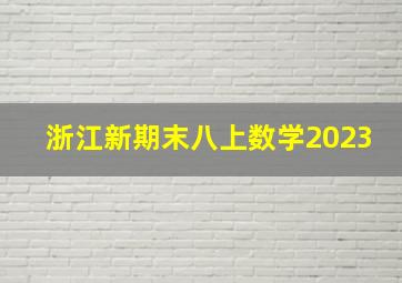 浙江新期末八上数学2023