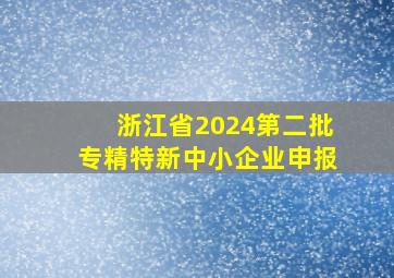 浙江省2024第二批专精特新中小企业申报