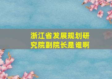 浙江省发展规划研究院副院长是谁啊