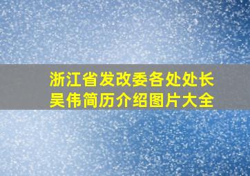 浙江省发改委各处处长吴伟简历介绍图片大全