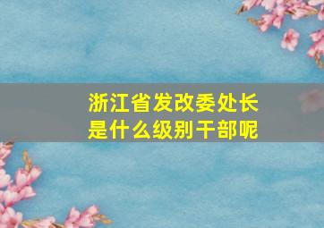 浙江省发改委处长是什么级别干部呢