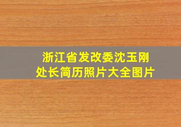 浙江省发改委沈玉刚处长简历照片大全图片