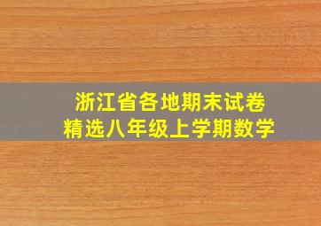 浙江省各地期末试卷精选八年级上学期数学