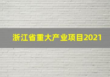 浙江省重大产业项目2021