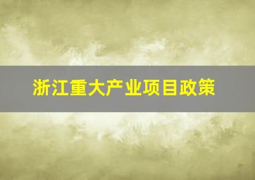 浙江重大产业项目政策