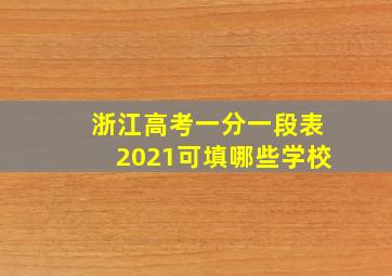 浙江高考一分一段表2021可填哪些学校