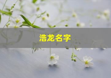 浩龙名字