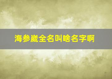 海参崴全名叫啥名字啊