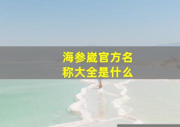 海参崴官方名称大全是什么