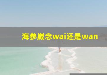 海参崴念wai还是wan