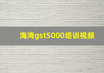 海湾gst5000培训视频