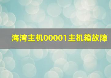 海湾主机00001主机箱故障