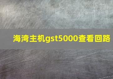 海湾主机gst5000查看回路