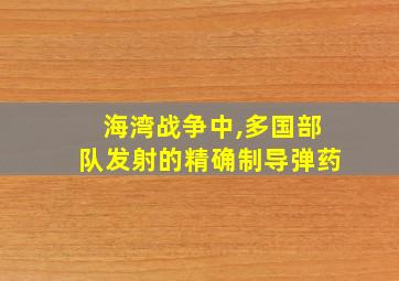 海湾战争中,多国部队发射的精确制导弹药