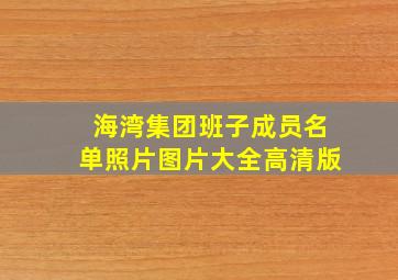 海湾集团班子成员名单照片图片大全高清版