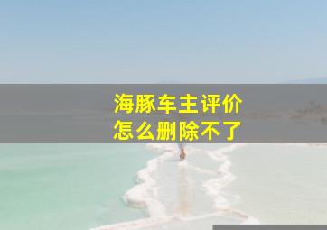 海豚车主评价怎么删除不了