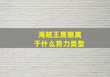 海贼王鹰眼属于什么势力类型