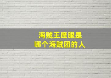 海贼王鹰眼是哪个海贼团的人