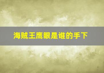 海贼王鹰眼是谁的手下