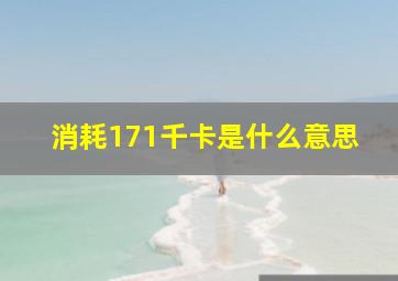 消耗171千卡是什么意思