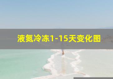 液氮冷冻1-15天变化图