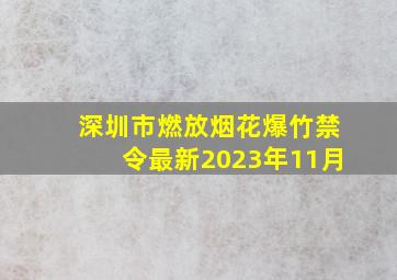 深圳市燃放烟花爆竹禁令最新2023年11月