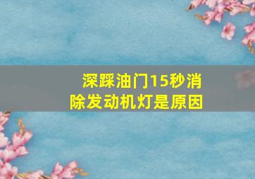 深踩油门15秒消除发动机灯是原因