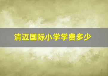 清迈国际小学学费多少