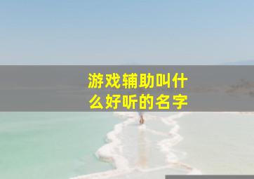 游戏辅助叫什么好听的名字