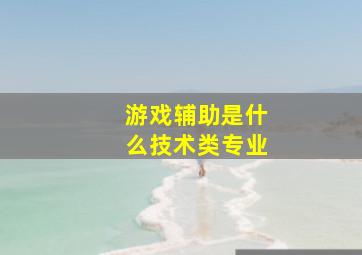 游戏辅助是什么技术类专业