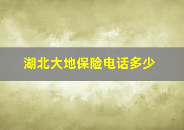 湖北大地保险电话多少