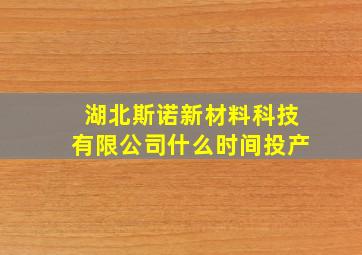 湖北斯诺新材料科技有限公司什么时间投产