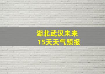 湖北武汉未来15天天气预报