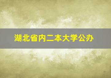 湖北省内二本大学公办