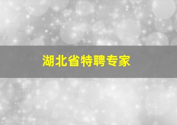 湖北省特聘专家