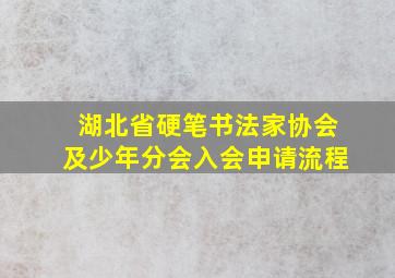 湖北省硬笔书法家协会及少年分会入会申请流程