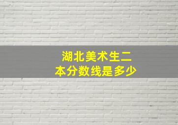 湖北美术生二本分数线是多少