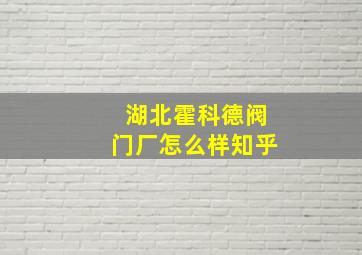 湖北霍科德阀门厂怎么样知乎