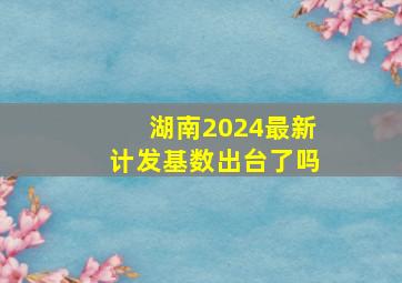 湖南2024最新计发基数出台了吗