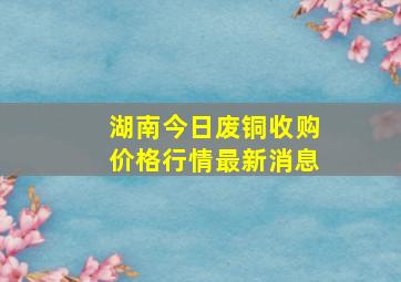 湖南今日废铜收购价格行情最新消息