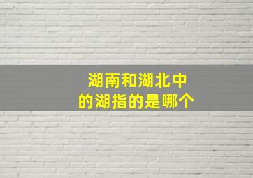 湖南和湖北中的湖指的是哪个