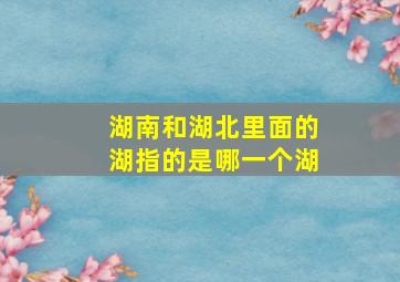 湖南和湖北里面的湖指的是哪一个湖